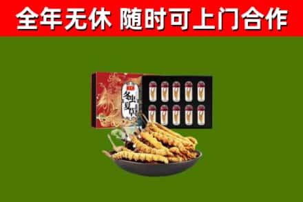 建邺回收冬虫夏草价格