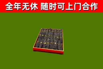 建邺回收海参